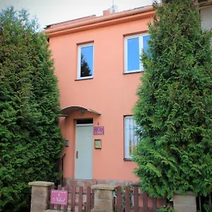 Nikol Brno